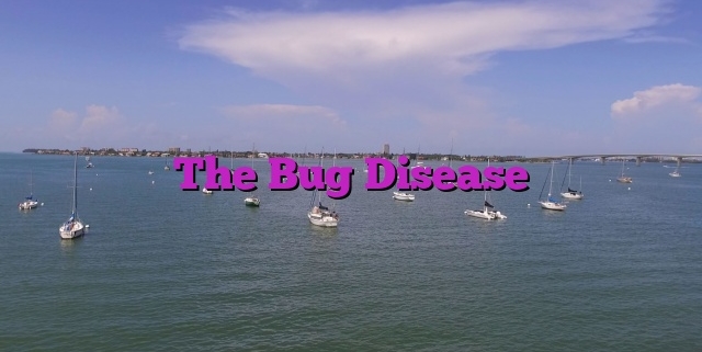 The Bug Disease