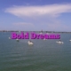 Bold Dreams