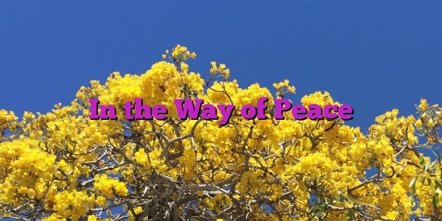 In the Way of Peace