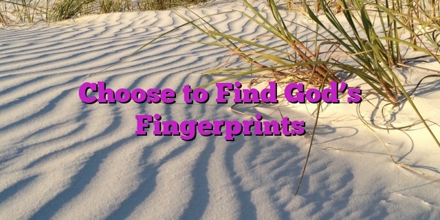 Choose to Find God’s Fingerprints