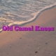 Old Camel Knees