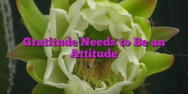 Gratitude Needs to Be an Attitude