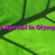 The Special in Olympics