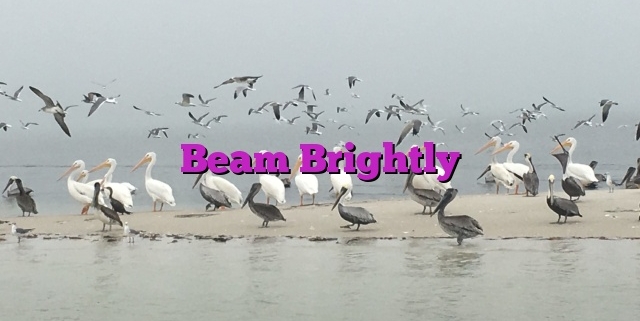 Beam Brightly