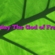 Saturday The God of Freedom
