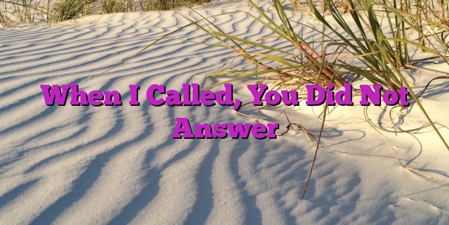 When I Called, You Did Not Answer