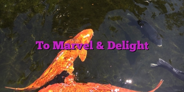 To Marvel & Delight