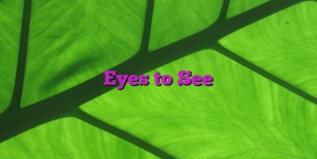 Eyes to See
