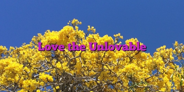 Love the Unlovable