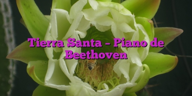 Tierra Santa – Piano de Beethoven