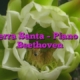 Tierra Santa – Piano de Beethoven