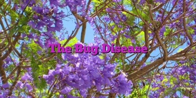 The Bug Disease