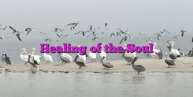 Healing of the Soul