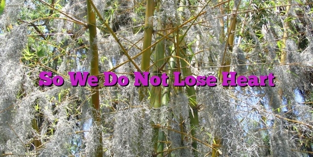So We Do Not Lose Heart