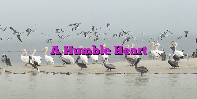 A Humble Heart