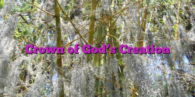 Crown of God’s Creation