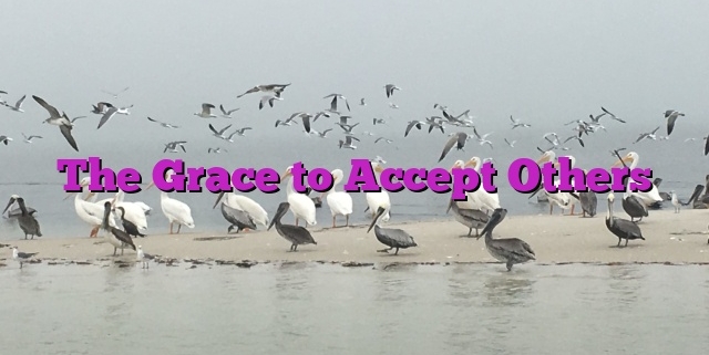 The Grace to Accept Others
