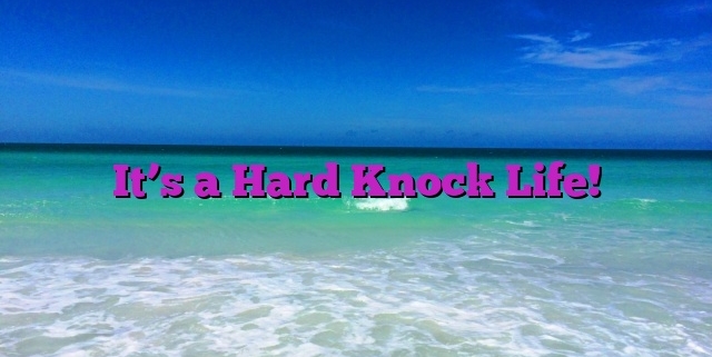 It’s a Hard Knock Life!