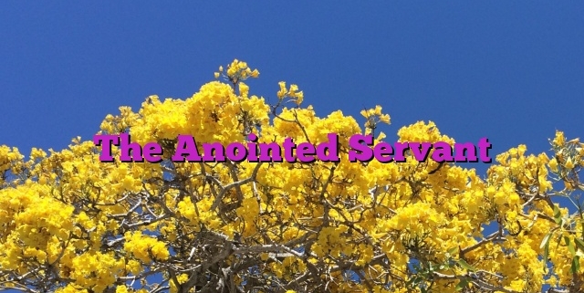 The Anointed Servant
