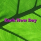 Each New Day