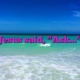 Jesus said, “Ask…”