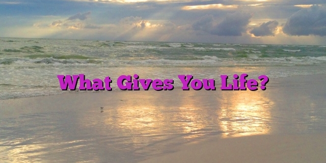 What Gives You Life?