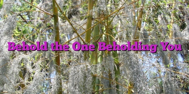 Behold the One Beholding You