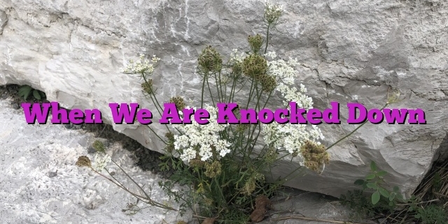 When We Are Knocked Down