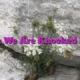 When We Are Knocked Down