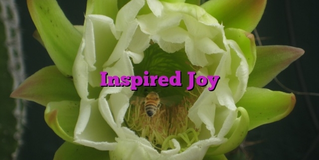 Inspired Joy