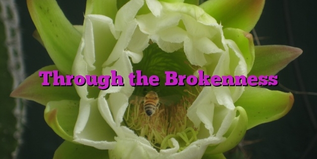 Through the Brokenness