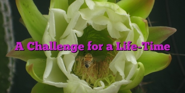 A Challenge for a Life-Time