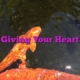 Giving Your Heart