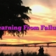 Learning From Failure